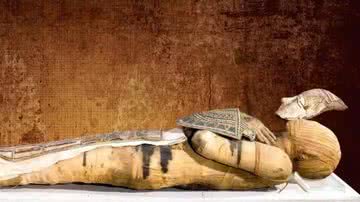 A múmia egípcia Bashiri - Divulgação/The Egyptian Museum in Cairo