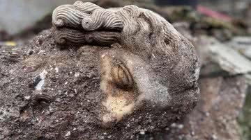 Cabeça de mármore do século 2 é descoberta em basílica cristã em Roma - Divulgação/Parco Archeologico dell'Appia Antica