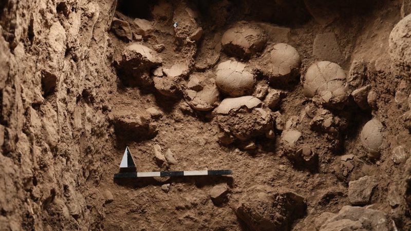 Descoberta na Turquia revela civilização desconhecida mais antiga do mundo - Divulgação/Sefertepe Excavation Archive