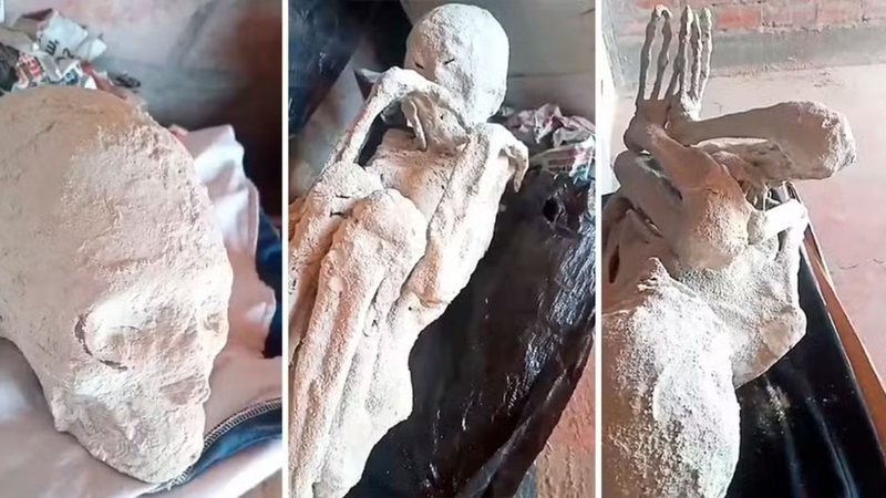 "Múmias alienígenas" encontradas no Peru - Divulgação/X/Josh McDowell