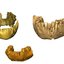 Reconstrução 3D de fósseis de mandíbula e maxila utilizados na pesquisa