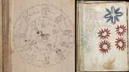 Montagem mostrando duas páginas do Manuscrito de Voynich - Domínio Público via Wikimedia Commons